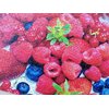 Puzzle TACTIC Lovers Berrymania! 56745 (500 elementów) Rodzaj Tradycyjne