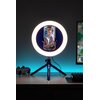 Lampka gamingowa PALADONE PlayStation Streaming Light Liczba źródeł światła 1