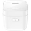 Ryżowar XIAOMI MFB05M0-1 Regulacja temperatury Tak
