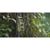 Fotopułapka REDLEAF RF06 Długość sekwencji wideo [s] od 10 do 180 sekund