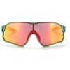 Okulary rowerowe ROCKBROS 14110009002 Zielony Rodzaj Okulary