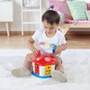 Zabawka edukacyjna DOLU Toy Factory Sorter Domek z kluczami 50960 Rodzaj Zabawka edukacyjna