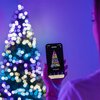 Lampki choinkowe LED TWINKLY TWKP100RGB-G 6 m Perły Wi-Fi/Bluetooth Sieciowe Długość [m] 6