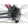 Rower górski MTB INDIANA X-Pulser 2.9 M19 29 cali męski Czarno-czerwony Przeznaczony Dla mężczyzny