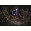 Lampka na kask SIGMA Buster 800 HL Tryby pracy Dzienny migający