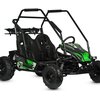 Pojazd elektryczny IML Buggy 14E Zielony Liczba biegów 3