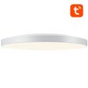 Lampa sufitowa GOSUND LB13 Wi-Fi Typ źródła światła LED