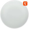 Lampa sufitowa GOSUND LB13 Wi-Fi Ilość źródeł światła 1