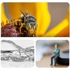 Obiektyw ULANZI CL-003 Macro 75mm Gwarancja 24 miesiące