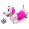 Piesek zdalnie sterowany SILVERLIT Ycoo Robo Dash D SI88742 Zasilanie Bateryjne
