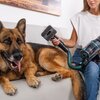 Odkurzacz CECOTEC Conga Rockstar 2500 Thunder Flex Animal Przeznaczenie Do użytku domowego