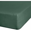 Prześcieradło EUROFIRANY Classic Jersey 240 x 220 cm Ciemnozielony