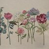 Bieżnik EUROFIRANY Cho 1242 50 x 110 cm Naturalny Kolor Naturalny