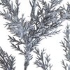 Zdjęcie przedstawia zbliżenie na gałązki dekoracyjnego kwiatu o niebiesko-szarym odcieniu, z drobnymi, igiełkowatymi liśćmi pokrytymi delikatnym meszkiem. Tło jest jednolite i jasne, co podkreśla szczegóły rośliny.