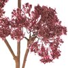 Dekoracyjny kwiat w kolorze bordowym z drobnymi, gęstymi pąkami na brązowych łodygach. Kwiat ma strukturę przypominającą naturalne gałązki z delikatnymi, puszystymi kwiatostanami.