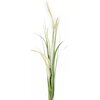 Zdjęcie przedstawia dekoracyjny kwiat o długich, wąskich liściach i kremowych kłosach, które przypominają trawy ozdobne. Produkt ma delikatny, naturalny wygląd i jest utrzymany w stonowanej kolorystyce zieleni i kremu.