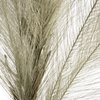 Zdjęcie przedstawia zbliżenie na ciemnozielony, dekoracyjny kwiat z kolekcji EUROFIRANY Flore, o wymiarach 100 x 60 cm. Struktura kwiatu jest delikatna, z licznymi cienkimi gałązkami i liśćmi, tworzącymi gęstą, teksturowaną powierzchnię.