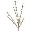 Zdjęcie przedstawia dekoracyjny kwiat o nazwie "EUROFIRANY Flore 360189" o wysokości 106 cm w kolorze zielonym. Kwiat składa się z kilku gałązek z małymi, okrągłymi elementami przypominającymi pąki.