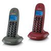 Telefon MOTOROLA C1002GW Duo DECT Szary Współpraca z linią telefoniczną Analogowa