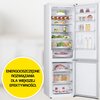 Lodówka LG GBV5250DSW No Frost 203cm Biała NatureFresh LinearCooling Bezszronowa (No Frost) Pełny No Frost