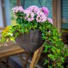 Zestaw donic PATIO Wenge 47390 Materiał Technorattan