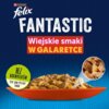 Opakowanie karmy dla kota marki Purina Felix Fantastic z napisem "Wiejskie smaki w galaretce" na niebieskim tle. Na dole widoczny jest czerwony talerz z kawałkami karmy, a obok zielone kółko z napisem "Bez barwników, ten sam pyszny smak".