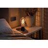 Inteligentna żarówka HAMA 176643 E27 4.9W Matter Rodzaj Żarówka LED