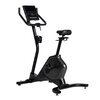 Rower magnetyczny SCHWINN U590 Rodzaj roweru Pionowy