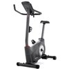 Rower magnetyczny SCHWINN 510U Rodzaj roweru Pionowy