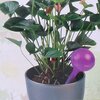 Dozownik kula do nawadniania KINZO 1056593 250 ml Fioletowy Zastosowanie Do roślin doniczkowych