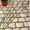 Podpórka do roślin regulowana KINZO 122892 (6 szt.) Materiał wykonania Metal