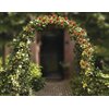 Pergola ogrodowa KINZO 137520 Kształt Łuk