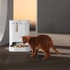 Dozownik karmy automatyczny PETKIT Yumshare Dual Hopper Sterowanie smartfonem Tak