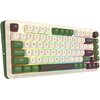 Klawiatura REDRAGON K681CCG-RGB-PRO Cyrus Komunikacja z komputerem Przewodowa