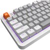 Klawiatura DARK PROJECT ALU87B Delta Typ klawiatury Mechaniczna