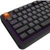 Klawiatura DARK PROJECT ALU87B Gamma Typ klawiatury Magnetyczno-mechaniczna
