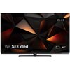 Telewizor LOEWE We See 48" OLED 4K 120Hz Dolby Vision Dolby Atmos HDMI 2.1 Android TV Nie