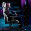 Fotel DIABLO CHAIRS X-One 2.0 Prime Szary Seria Diablo Chairs X-One