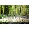 Zestaw filtrów K&F CONCEPT SKU.2332 PL/UV/ND8/ND16/ND32/ND64 do Dji Neo Liczba sztuk w zestawie 6