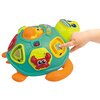 Zabawka edukacyjna SMILY PLAY Winfun Żółw Tadzio 240301 Rodzaj Zabawka edukacyjna