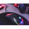 Mysz TRACER Gamezone Master RGB Profil myszy Praworęczny