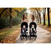 Wózek spacerowy NUKIDO Paseo Czarny Stelaż Stalowy