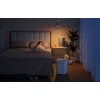 Nawilżacz ewaporacyjny SMARTMI Evaporative Humidifier 3 Lite Higrostat Tak