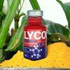 Napój LYCOPEN Antyoxidant Drink Witamina E + Kurkuma (15 x 250 ml) Wielkość porcji 125 ml