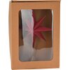 Gwiazda CHRISTMAS DECORATION 28 cm Czerwony Gwarancja 24 miesiące