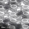 Etui ETTERI Hybrid Mag do Apple iPhone 16 Przezroczysty Etui z powerbankiem Nie