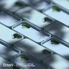 Etui ETTERI Silicone do Apple iPhone 16 Plus Jasnoniebieski Etui wodoszczelne Nie