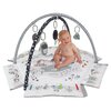 Mata edukacyjna MILLY MALLY GrowUp Minky 5w1 6141 Wymiary opakowania [mm] 210 x 370 x 435