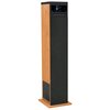Power audio AIWA TSBT-360 Czarno-brązowy Radio FM