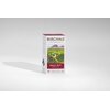 Herbata BIRCHALL Great Rift (15 sztuk) Linia Great Rift